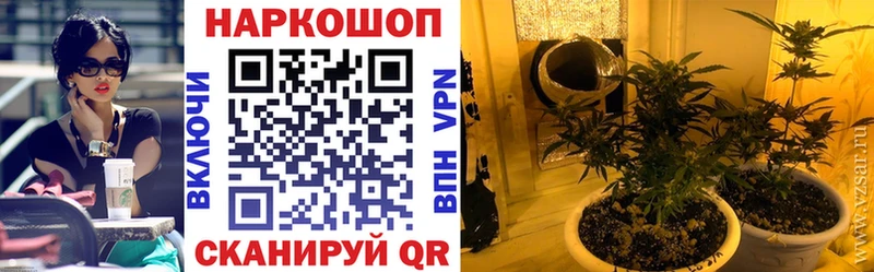 Названия наркотиков Костерёво Метамфетамин COCAIN KRAKEN ссылки Амфетамин ГАШИШ Конопля Alpha PVP Меф