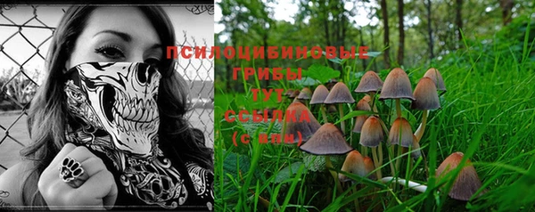 apvp Кинешма