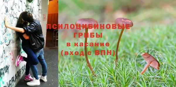 соль ск Карталы
