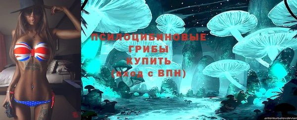 СК Карпинск