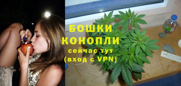 спиды Касимов