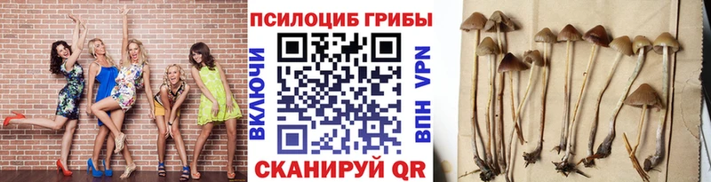 Псилоцибиновые грибы мухоморы  Костерёво 